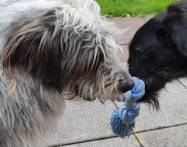 Hannes und Lula