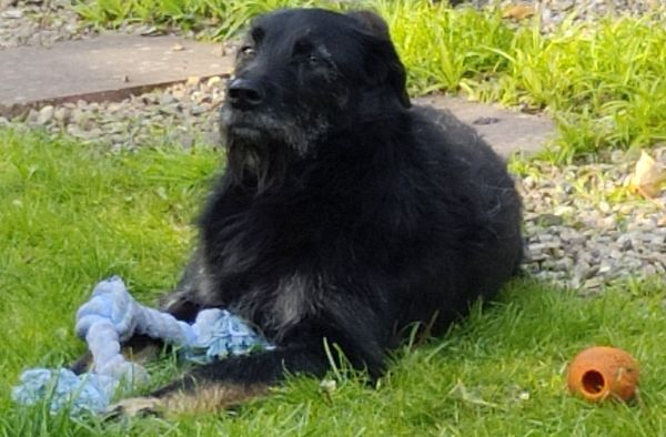 Hannes und Lula