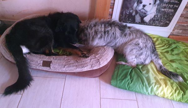 Hannes und Lula