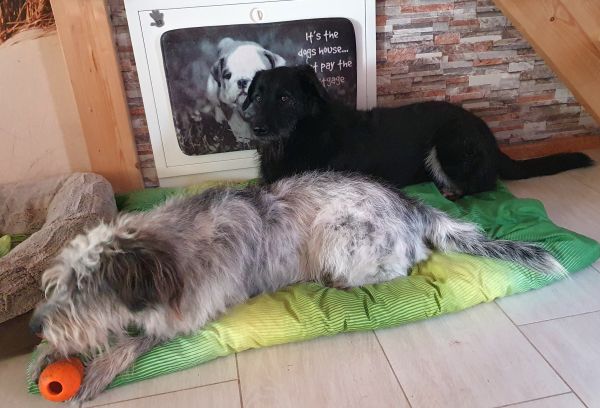 Hannes und Lula
