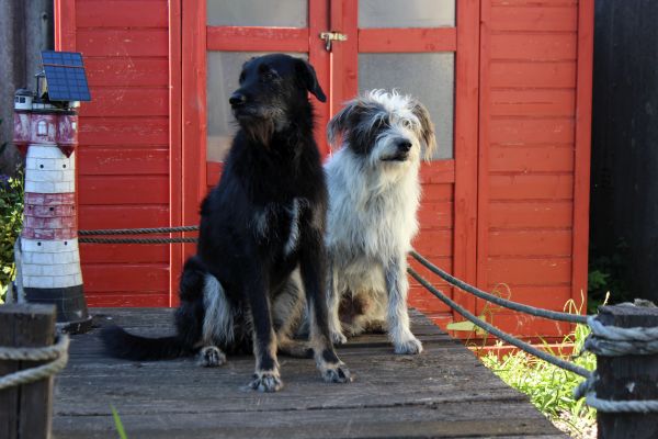 Hannes und Lula
