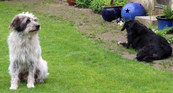 Hannes und Lula