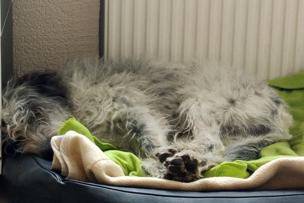 Hannes und Lula