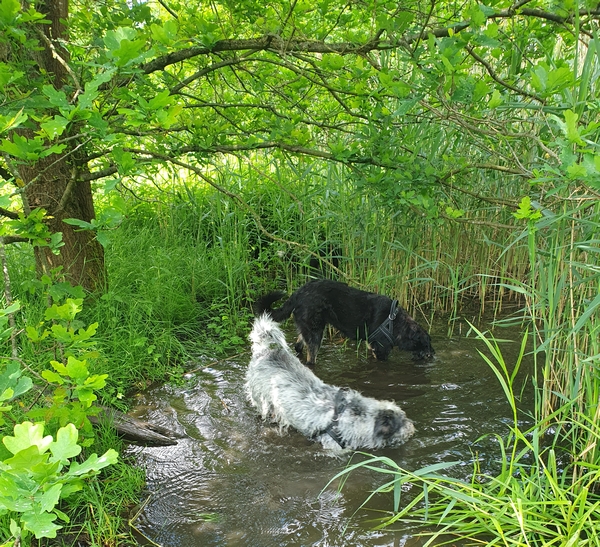 Hannes und Lula