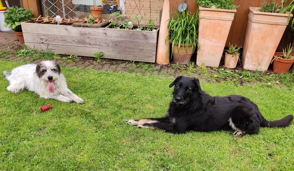Hannes und Lula