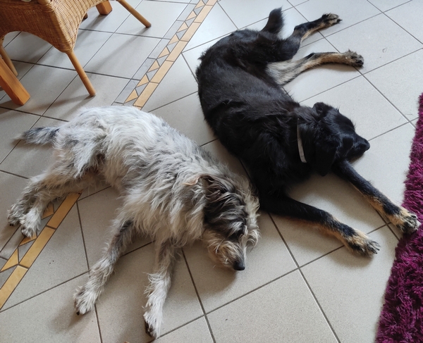 Hannes und Lula