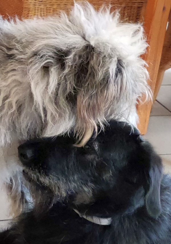 Hannes und Lula