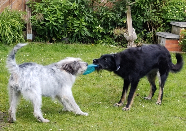 Hannes und Lula
