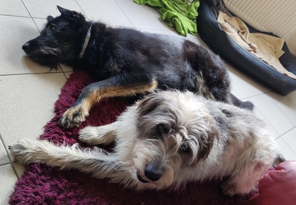 Hannes und Lula