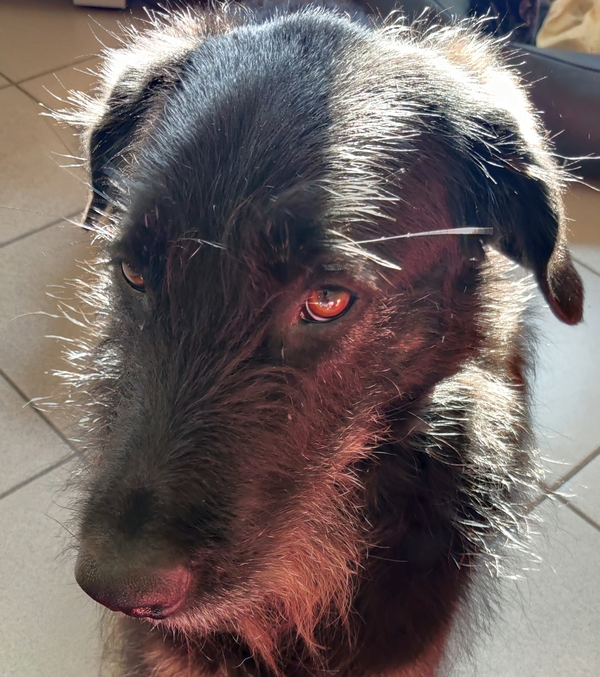 Hannes und Lula