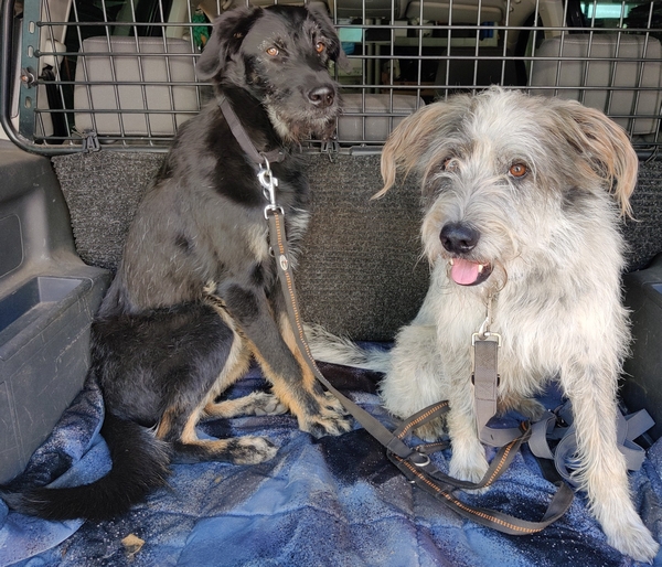 Hannes und Lula