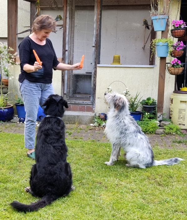 Hannes und Lula