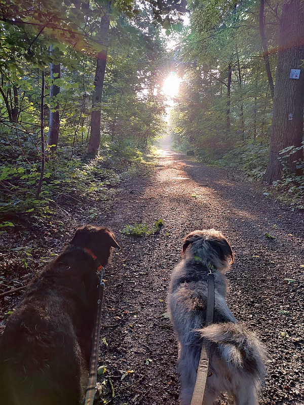 Hannes und Lula