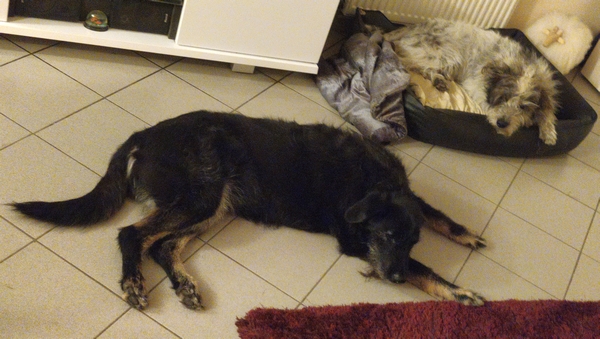 Hannes und Lula