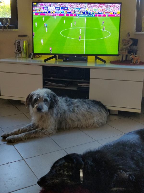 Hannes und Lula