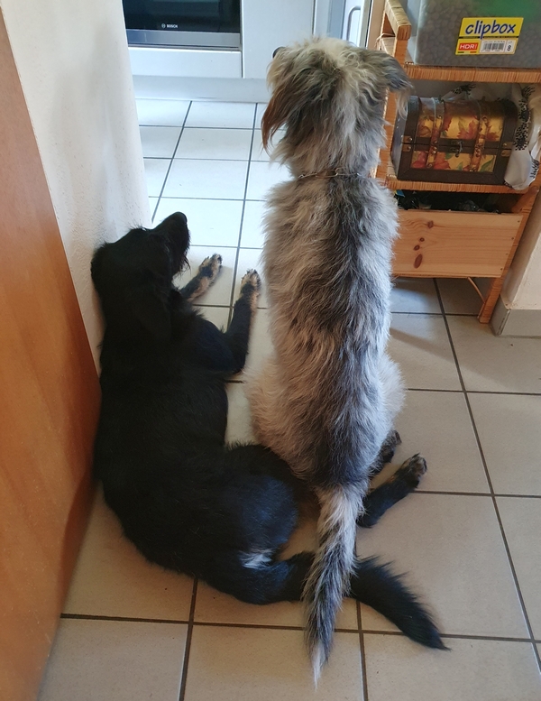 Hannes und Lula