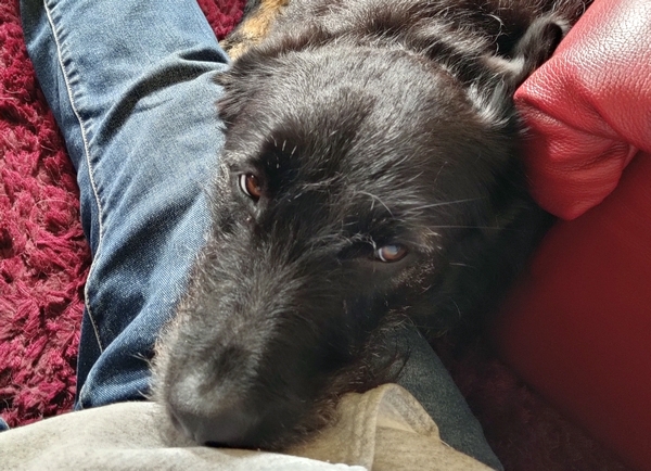 Hannes und Lula