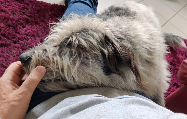 Hannes und Lula