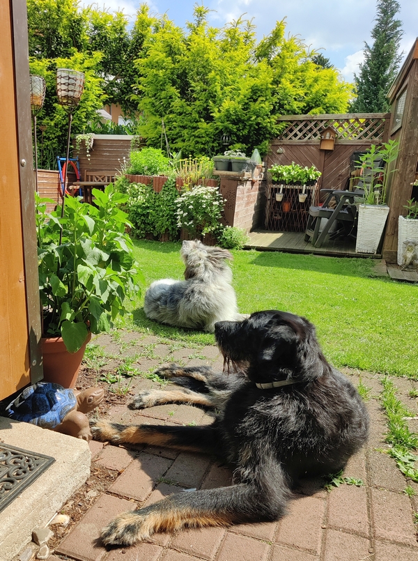 Hannes und Lula