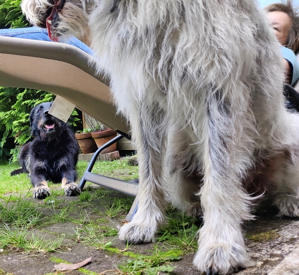 Hannes und Lula