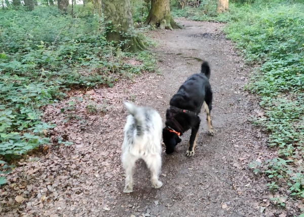 Hannes und Lula