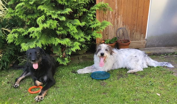 Hannes und Lula