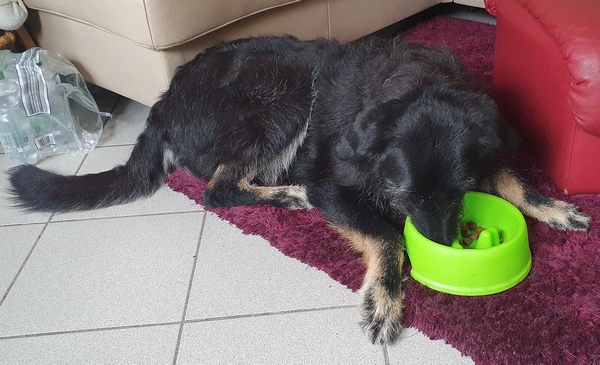 Hannes und Lula