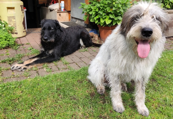 Hannes und Lula