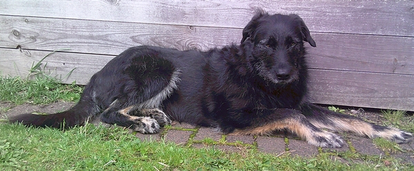 Hannes und Lula