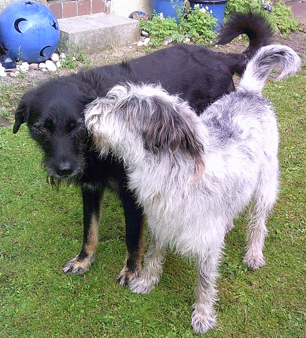 Hannes und Lula