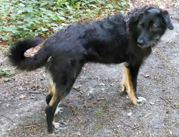 Hannes und Lula