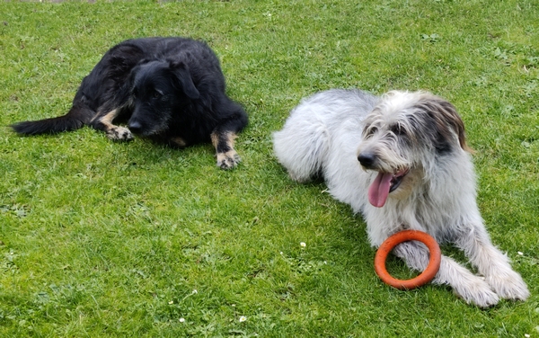 Hannes und Lula