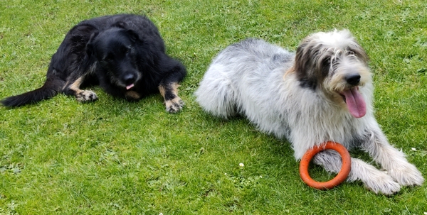 Hannes und Lula