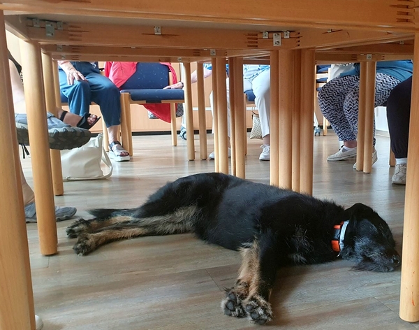Hannes und Lula