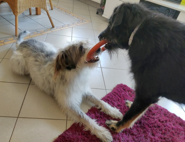 Hannes und Lula