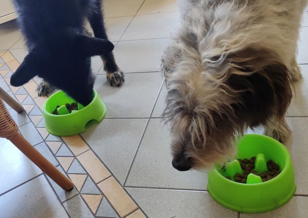Hannes und Lula