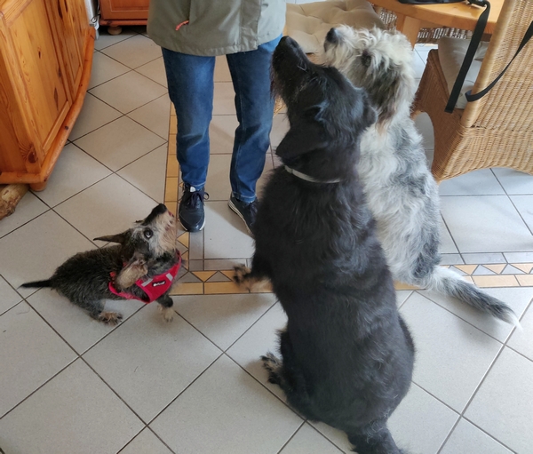 Hannes und Lula