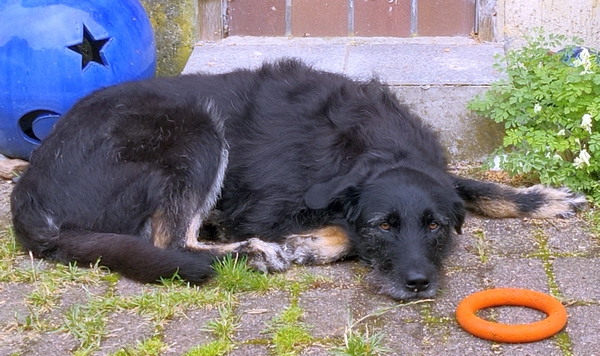 Hannes und Lula