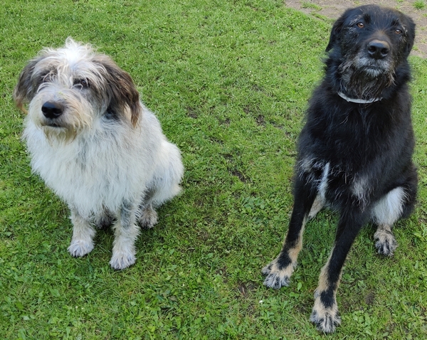 Hannes und Lula