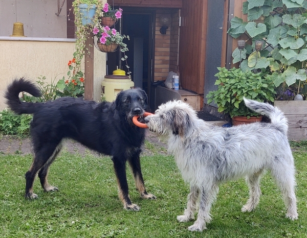 Hannes und Lula