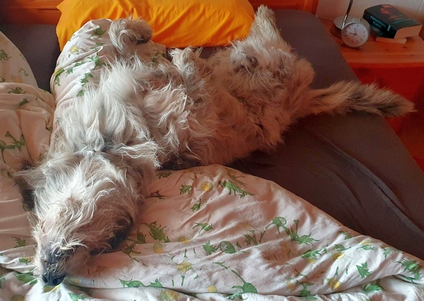 Hannes und Lula