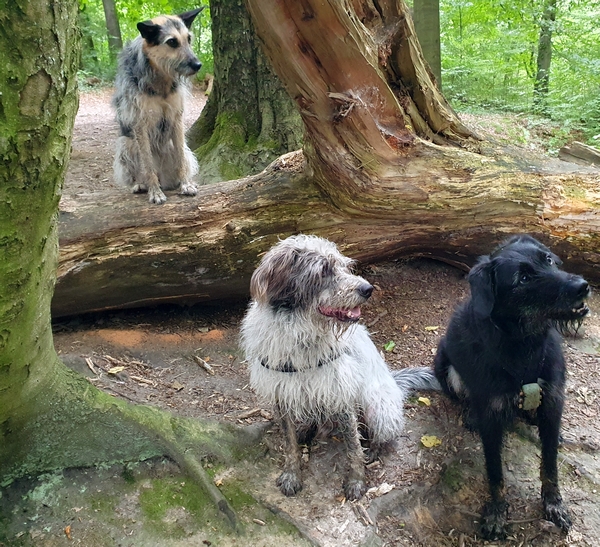 Hannes und Lula