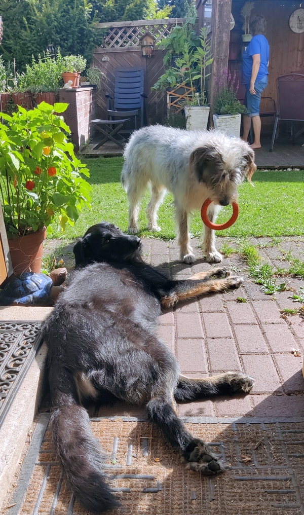 Hannes und Lula