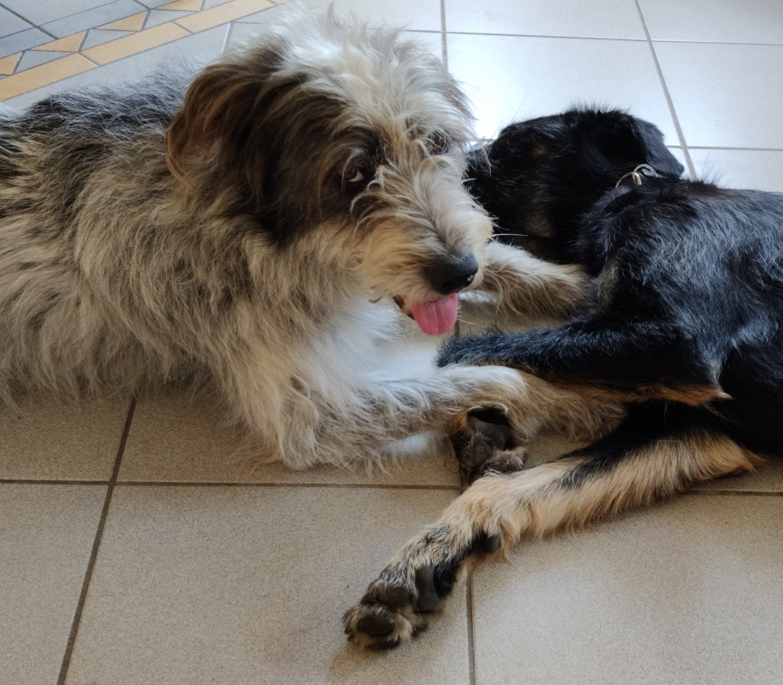 Hannes und Lula