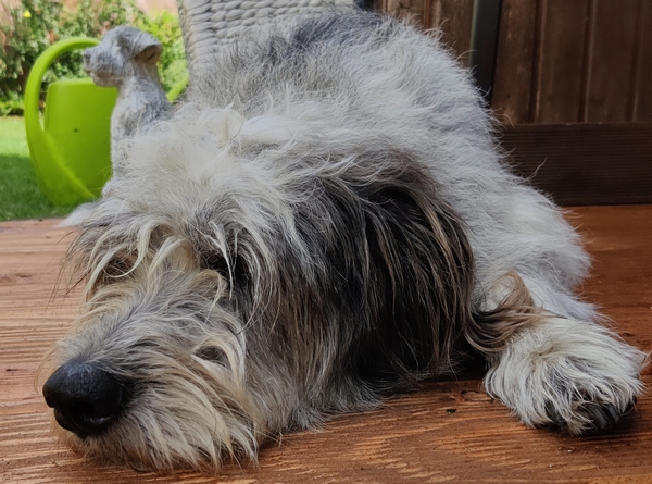 Hannes und Lula