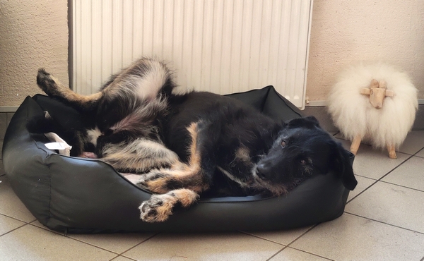 Hannes und Lula