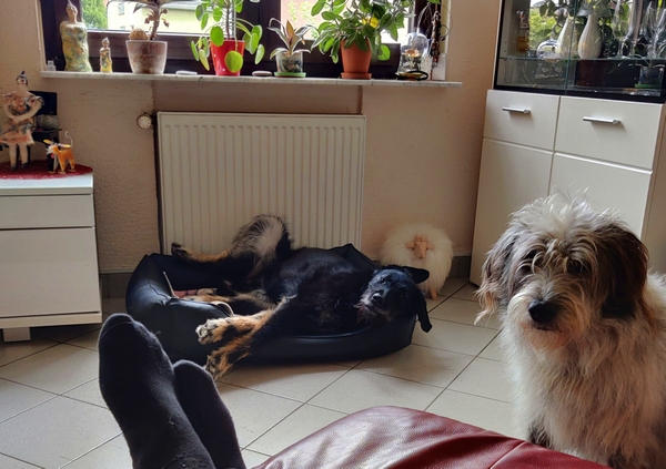 Hannes und Lula