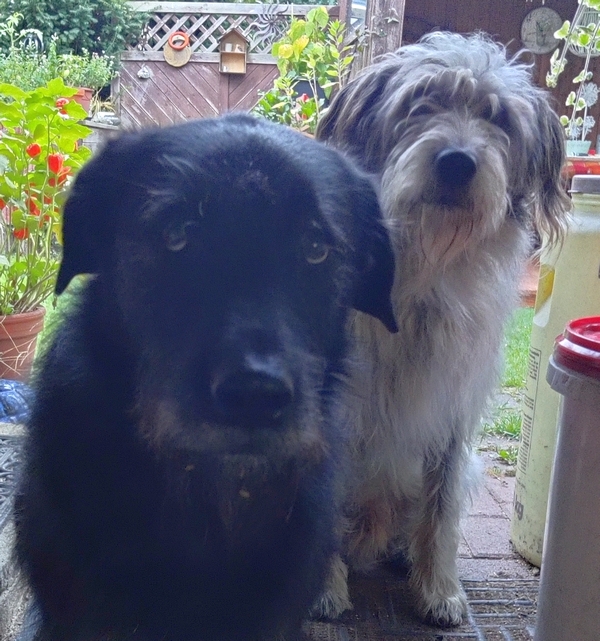 Hannes und Lula