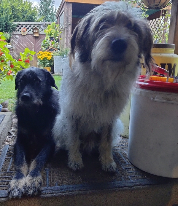 Hannes und Lula