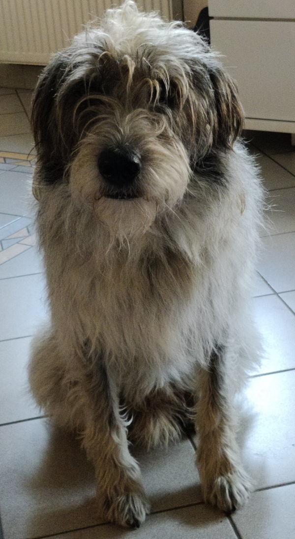 Hannes und Lula